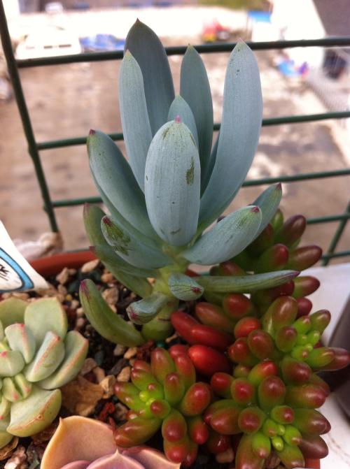 й½ϳƫ ȫůorȫ䣿