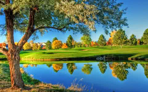 ʡŲμӵ15˼˻  Ӧչ