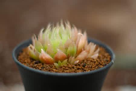 Òø±£¼à»á³ǫ̈¶ÀÁ¢¸öÈ˱£ÏÕ´úÀíÈ˼à¹Ü¹æ¶¨