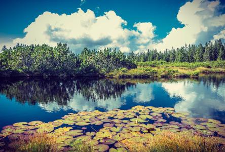 ǰ11¹ҵҵʵ57445Ԫ ͬ2.4%