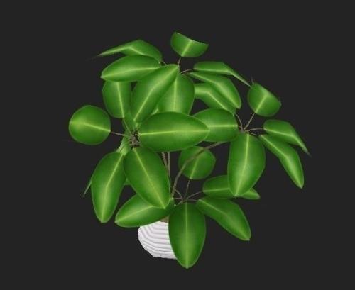 »¹ÓÐ6¸öÔ£¬¸ß¿¼Éú¸ÃÈçºÎÓսи߿¼£¿½¨ÒéÀ´ÁË