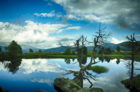 ¡°Ð¡·¹²Ë¡±¡°µ¥ÈË×ù¡±¡ÒßÇéÒý±¬¸öÐÔ»¯²ÍÒûÐèÇó